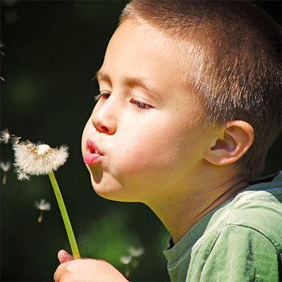 Young boy blowing a dandelion